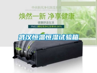 知識(shí)百科武漢恒溫恒濕試驗(yàn)箱