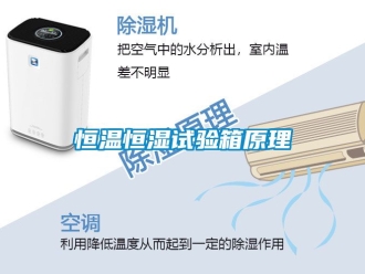 知識百科恒溫恒濕試驗箱原理