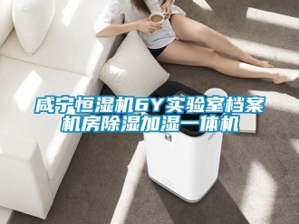 知識百科咸寧恒濕機6Y實驗室檔案機房除濕加濕一體機