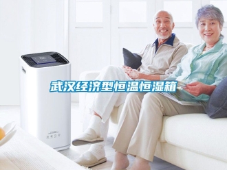 知識百科武漢經濟型恒溫恒濕箱