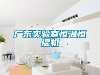知識百科廣東實驗室恒溫恒濕機
