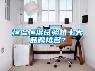 知識百科恒溫恒濕試驗箱十大品牌排名？