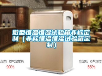 知識百科微型恒溫恒濕試驗箱非標(biāo)定制（非標(biāo)恒溫恒濕試驗箱定制）