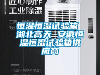 知識(shí)百科恒溫恒濕試驗(yàn)箱 湖北高天 安徽恒溫恒濕試驗(yàn)箱供應(yīng)商