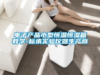 知識百科電子產品小型恒溫恒濕箱教學-標承實驗儀器生產商