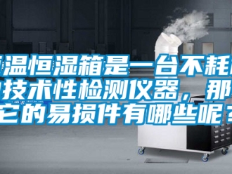 知識百科恒溫恒濕箱是一臺不耗材的技術(shù)性檢測儀器，那么它的易損件有哪些呢？