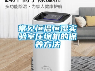 知識百科常見恒溫恒濕實驗室壓縮機的保養(yǎng)方法