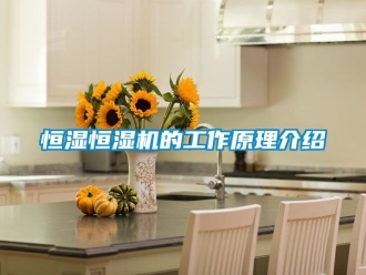 知識(shí)百科恒濕恒濕機(jī)的工作原理介紹