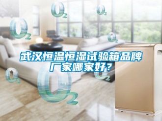 知識百科武漢恒溫恒濕試驗箱品牌廠家哪家好？