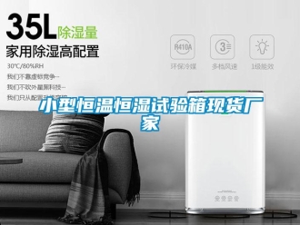 知識(shí)百科小型恒溫恒濕試驗(yàn)箱現(xiàn)貨廠家