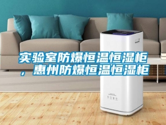 知識百科實驗室防爆恒溫恒濕柜，惠州防爆恒溫恒濕柜
