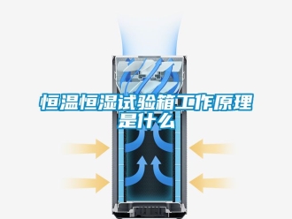 知識百科恒溫恒濕試驗箱工作原理是什么