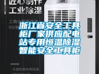 知識(shí)百科浙江省安全工具柜廠家供應(yīng)配電站專(zhuān)用恒溫除濕智能安全工具柜