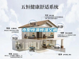 知識(shí)百科小型恒溫恒濕空調(diào)