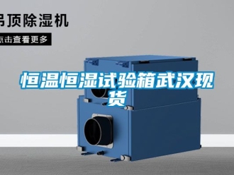 知識(shí)百科恒溫恒濕試驗(yàn)箱武漢現(xiàn)貨