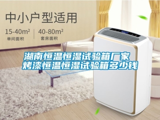 知識(shí)百科湖南恒溫恒濕試驗(yàn)箱廠家 烤漆恒溫恒濕試驗(yàn)箱多少錢(qián)