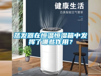 知識百科蒸發器在恒溫恒濕箱中發揮了哪些作用？