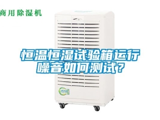 知識百科恒溫恒濕試驗箱運行噪音如何測試？