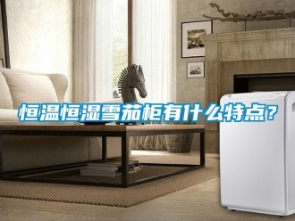 知識百科恒溫恒濕雪茄柜有什么特點？
