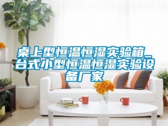 知識(shí)百科桌上型恒溫恒濕實(shí)驗(yàn)箱_臺(tái)式小型恒溫恒濕實(shí)驗(yàn)設(shè)備廠(chǎng)家