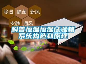 知識百科科普恒溫恒濕試驗箱系統構造和原理