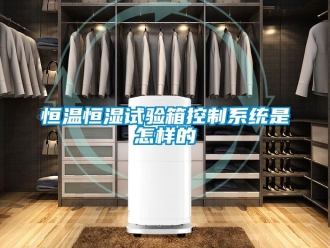 知識百科恒溫恒濕試驗箱控制系統是怎樣的