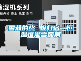 知識百科雪茄的終 極歸宿--恒溫恒濕雪茄房