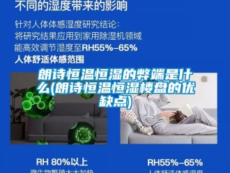 知識(shí)百科朗詩(shī)恒溫恒濕的弊端是什么(朗詩(shī)恒溫恒濕樓盤的優(yōu)缺點(diǎn))