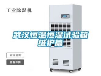 知識百科武漢恒溫恒濕試驗箱維護篇