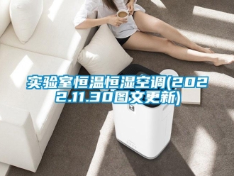 知識百科實驗室恒溫恒濕空調(diào)(2022.11.30圖文更新)