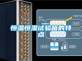 知識(shí)百科恒溫恒濕試驗(yàn)箱的特點(diǎn)