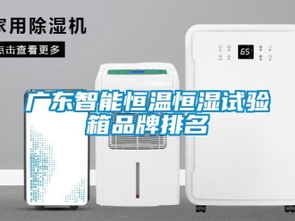 知識百科廣東智能恒溫恒濕試驗箱品牌排名