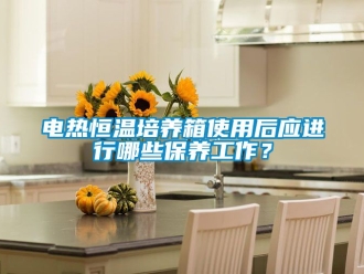 知識(shí)百科電熱恒溫培養(yǎng)箱使用后應(yīng)進(jìn)行哪些保養(yǎng)工作？