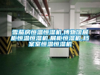 知識百科雪茄房恒溫恒濕機,博物館展柜恒溫恒濕機,展柜恒濕機,檔案室恒溫恒濕機