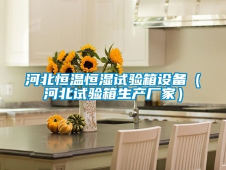 知識百科河北恒溫恒濕試驗箱設備（河北試驗箱生產廠家）