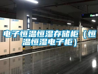 知識(shí)百科電子恒溫恒濕存儲(chǔ)柜（恒溫恒濕電子柜）