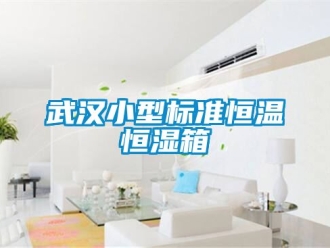 知識(shí)百科武漢小型標(biāo)準(zhǔn)恒溫恒濕箱