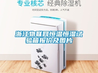 知識(shí)百科浙江物聯(lián)網(wǎng)恒溫恒濕試驗(yàn)箱報(bào)價(jià)及圖片