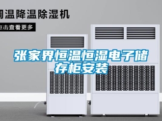 知識百科張家界恒溫恒濕電子儲存柜安裝