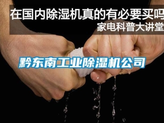 新聞資訊黔東南工業除濕機公司