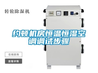 知識百科約頓機房恒溫恒濕空調調試步驟