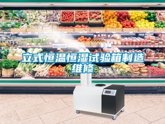 知識(shí)百科立式恒溫恒濕試驗(yàn)箱制造維修