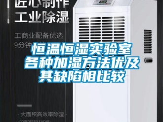 知識(shí)百科恒溫恒濕實(shí)驗(yàn)室各種加濕方法優(yōu)及其缺陷相比較