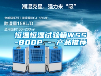 知識百科恒溫恒濕試驗箱WSS-800P - 產品推薦