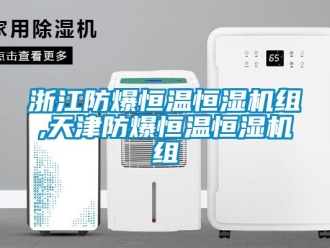 知識(shí)百科浙江防爆恒溫恒濕機(jī)組,天津防爆恒溫恒濕機(jī)組