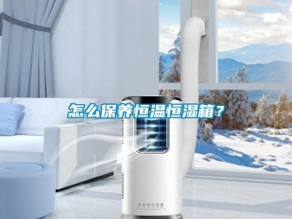 知識百科怎么保養(yǎng)恒溫恒濕箱？