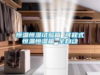 知識(shí)百科恒溫恒濕試驗(yàn)箱 可程式恒溫恒濕箱 全自動(dòng)