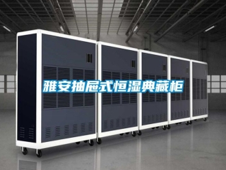 知識百科雅安抽屜式恒濕典藏柜