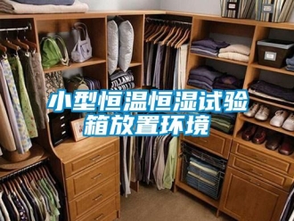 知識(shí)百科小型恒溫恒濕試驗(yàn)箱放置環(huán)境