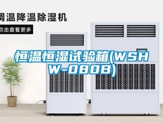 知識百科恒溫恒濕試驗(yàn)箱(WSHW-080B)